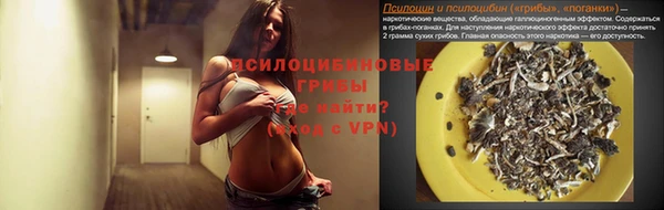 винт Алзамай