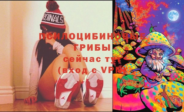 винт Алзамай