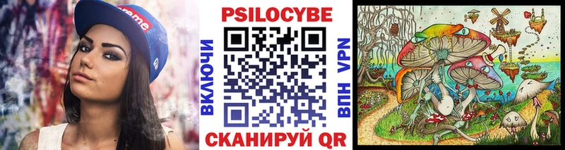 kraken зеркало  Йошкар-Ола  Галлюциногенные грибы прущие грибы 