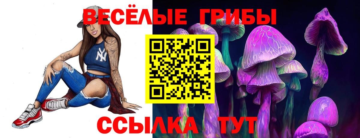 Псилоцибиновые грибы Psilocybine cubensis Йошкар-Ола